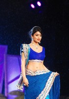 Shriya Saree Images